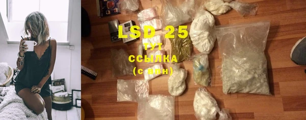PSILOCYBIN Верхний Тагил