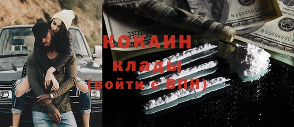 mdpv Бородино