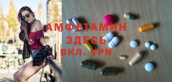 mdpv Бородино