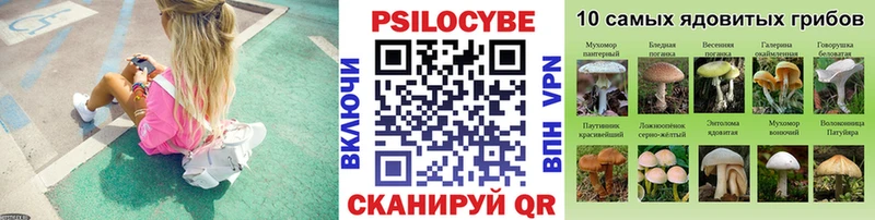 площадка официальный сайт Петропавловск-Камчатский Галлюциногенные грибы Magic Shrooms